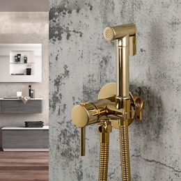 Смеситель с гигиеническим душем Frap H05 золото F7505-3 фото 2
